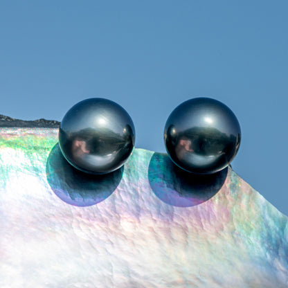 Simple Design Natural Real Tahitian Black Saltwater Pearl Earring 18K Platinum